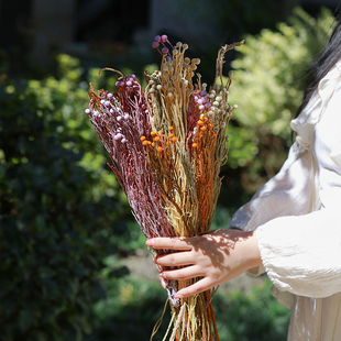 小银果自然果实干枝森女系拍照神器家居软装 咖啡厅布景高颜值点缀