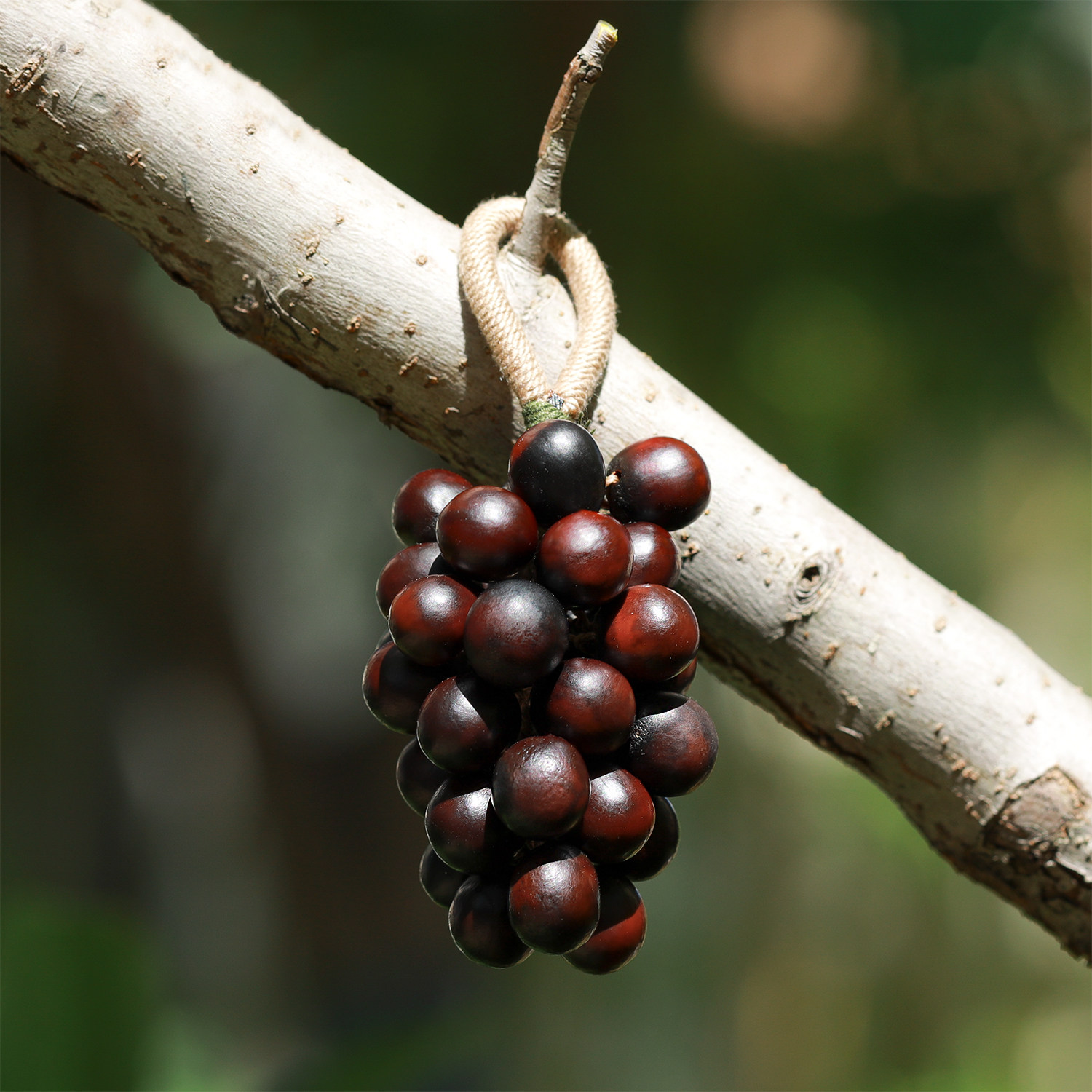 红色无患籽葡萄串天然果壳包挂diy种子挂饰森系配饰送礼小众手作,服饰配件/皮带/帽子/围巾,包挂件,淘宝优惠券,粉丝福利购,淘宝优惠卷