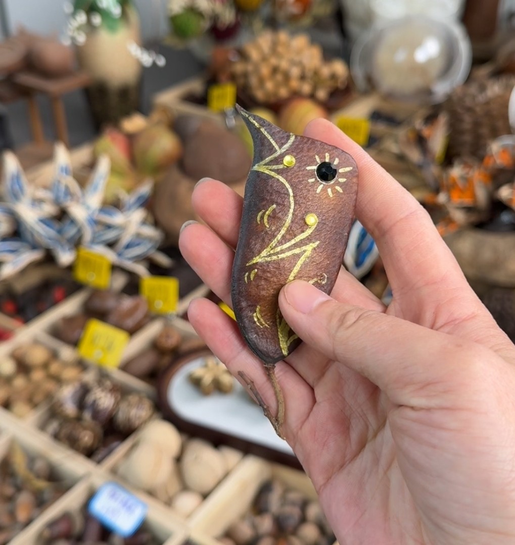 苏木鸟,家居饰品,干花/花瓣/干花包/干树枝,淘宝优惠券,粉丝福利购,淘宝优惠卷