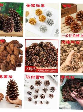 Pine Tree Christmas decoration Pinecone flower DIY 圣诞松果