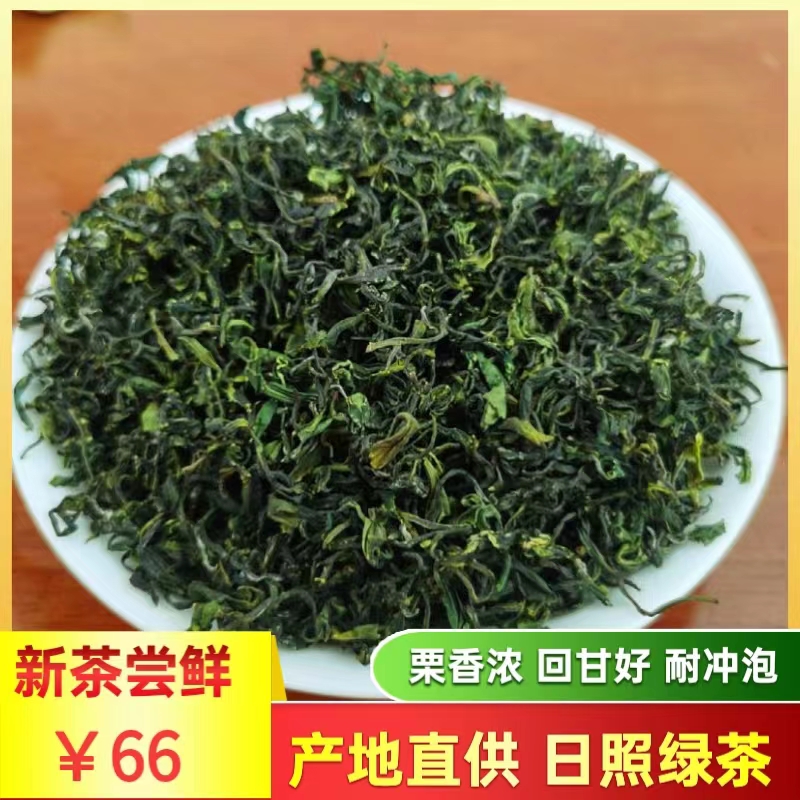 山东日照绿茶2024新茶浓香耐泡栗香高山云雾春茶散装炒青绿茶500g 茶 日照绿茶 原图主图