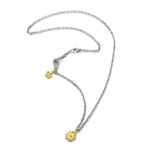 DESERTO x Ree counter