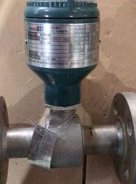 横河YOKOGAWA电磁流量计AXF025C附加型号-PNA