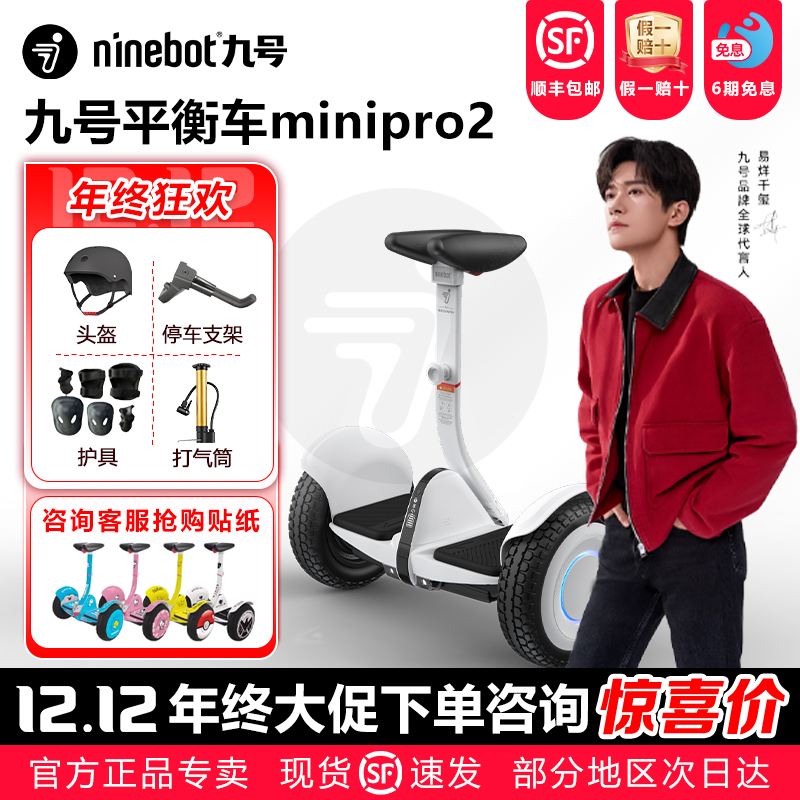 九号成人平衡车Ninebot