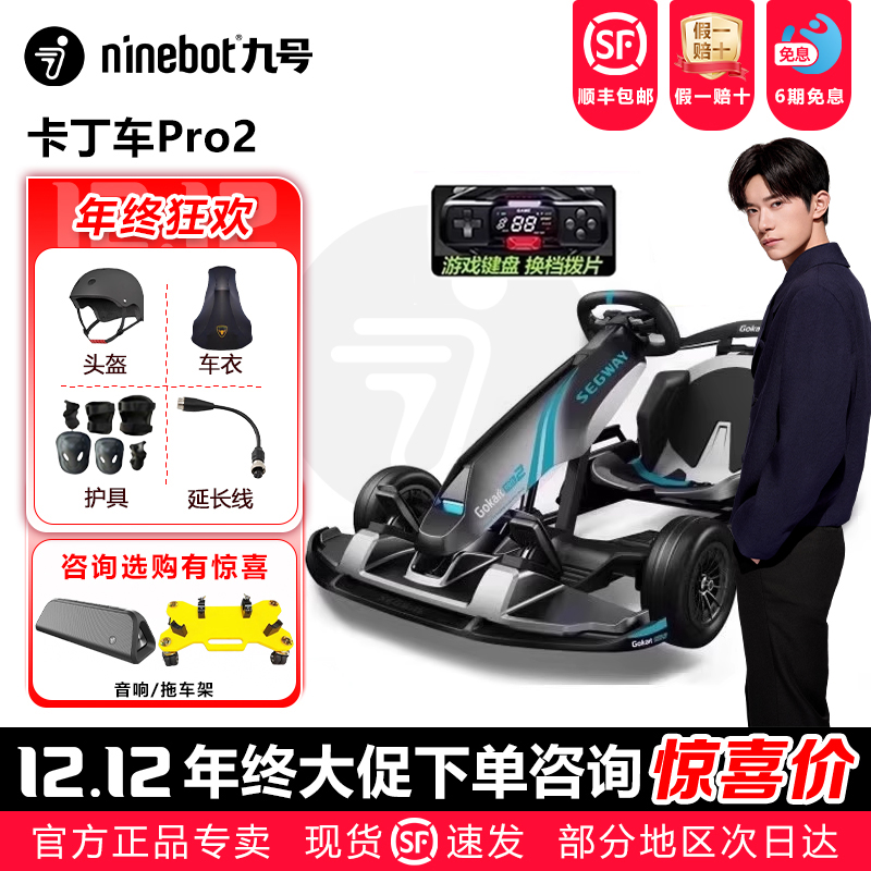 九号Segway卡丁车PRO2可烤漆