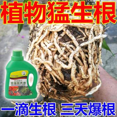 速发生根药水复活液快速生根营养液通用强力植物扦插生根剂生根壮