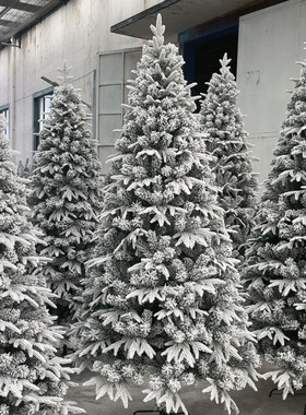 大型圣诞树圣诞节白色植绒仿真落雪PE/PVC圣诞雪松树5米1.8米加密