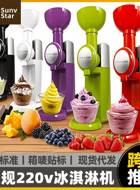美规Ice cream machine 110V水果冰淇淋机欧规自作搅拌冰激凌机