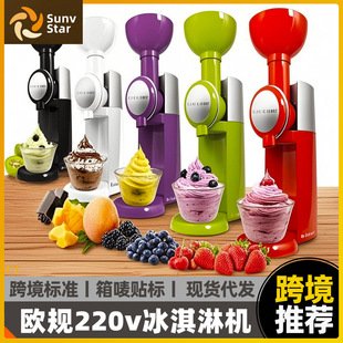美规Ice cream machine 110V水果冰淇淋机欧规自作搅拌冰激凌机