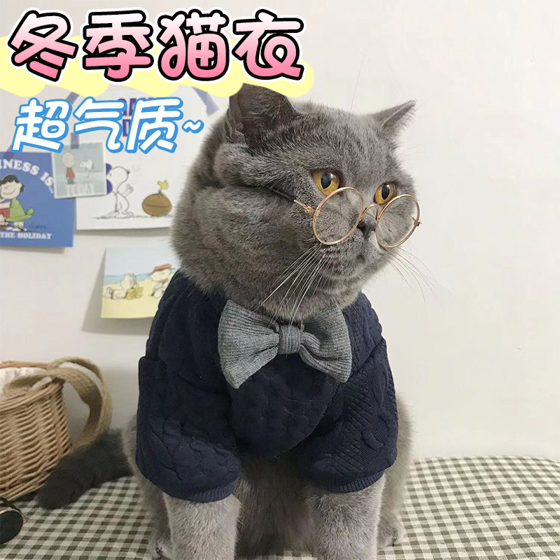 猫咪衣服小蓝猫冬季保暖猫猫秋冬加厚防掉毛宠物英短布偶公猫帅气图片