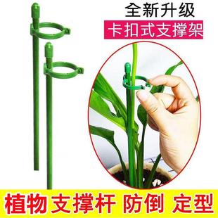 家里种菜种花需要它!植物固定防倒伏支撑杆!园艺盆栽护叶扶持架