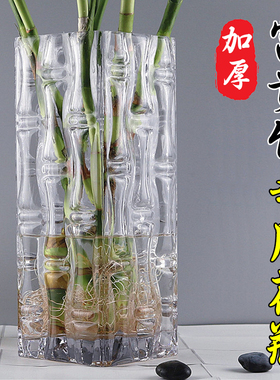 特大号落地富贵竹花瓶方形玻璃透明加厚插花客厅摆件装饰2024新款