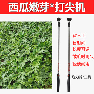 甜瓜电动打尖机神器樱桃打尖器花椒菊花果树冬枣荔枝葡萄辣椒