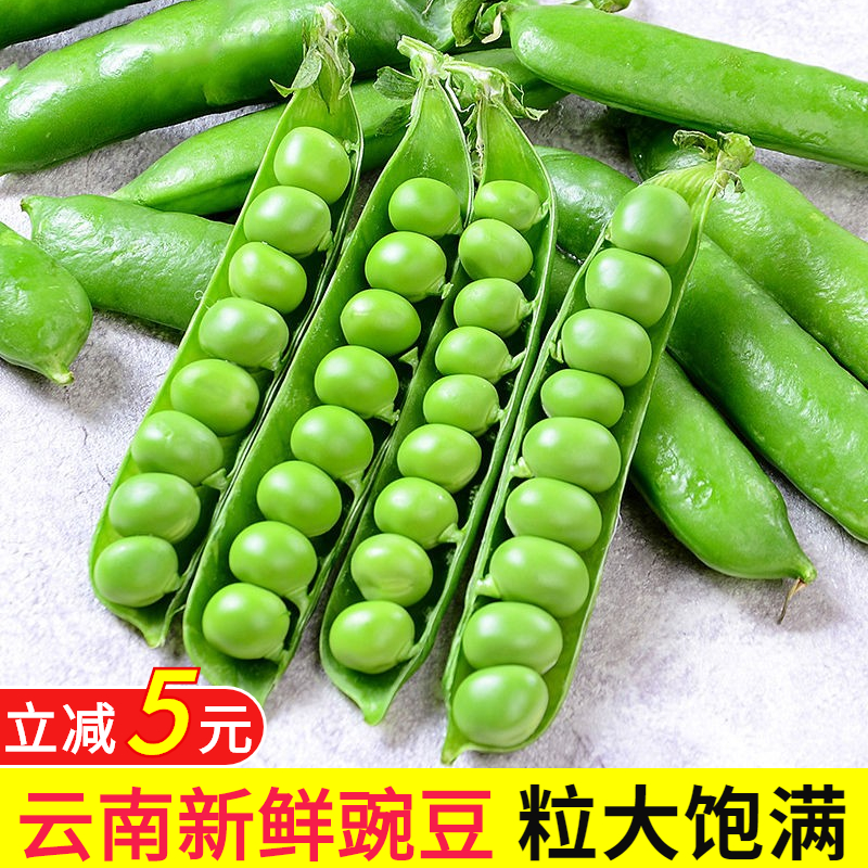 云南新鲜豌豆荚现摘现发蔬菜