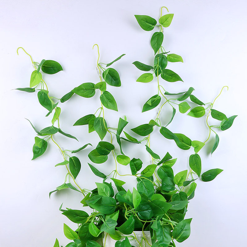 绿萝庭院爬墙固定器长藤绿植墙面夹扣爬藤植物壁挂钩子免打孔无痕