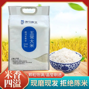 自營(yíng)品牌橫河長(zhǎng)壽谷五常東北大米10斤農(nóng)家優(yōu)質(zhì)一等真空米長(zhǎng)粒香