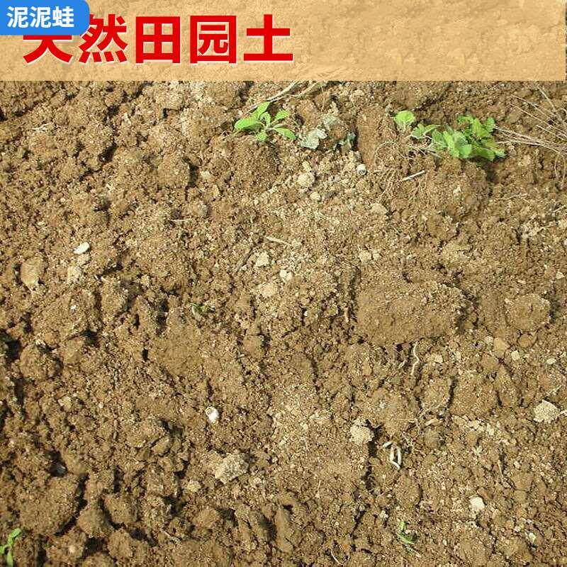田园土沙土家庭园艺栽花种菜土壤 营养土大包黄土养花土泥土包邮