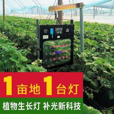 大棚专用激光补光灯草莓樱桃蔬菜育苗增产增温灯生长灯饱光灯智能