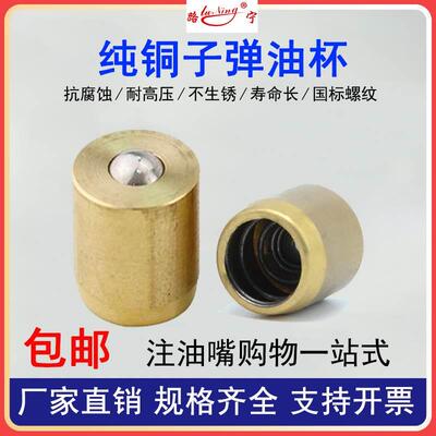 纯铜弹子油杯黄铜油嘴压配式注油杯弹簧压注式孔用黄油咀M6810126