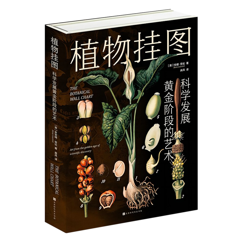 【新华正版】植物挂图呈现一场视觉盛宴精巧描绘植物生命的奥秘每一幅挂图都附有文字说明，解释其历史、植物学背景以及教育价值-封面