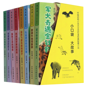 沈石溪动物小说口袋本 童书读物 正版 书籍 儿童文学 新华书店 共8册