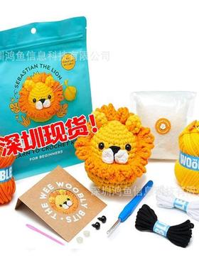 亚马逊爆款beginner crochet kit初学者钩针套件附有分步视频教程