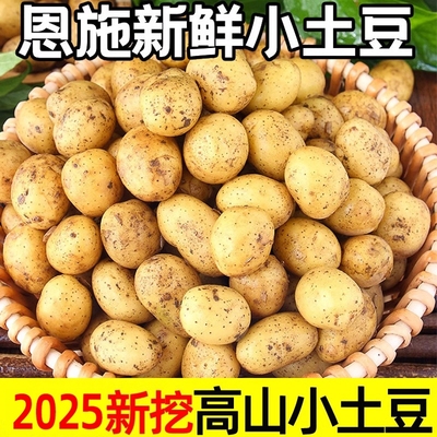 湖北恩施小土豆新鲜现挖富硒黄心土豆农家蔬菜马铃薯洋芋整箱包邮