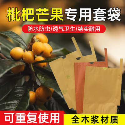 枇杷专用套袋枇杷保护袋梨芒果透气袋子莲雾释迦防虫防水防雨套袋