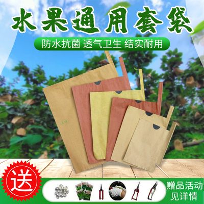 桃袋梨苹果枇杷芒果套袋保护袋子