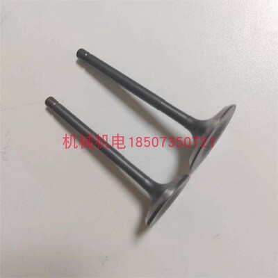 大疆D12000I/T50进排气门组合