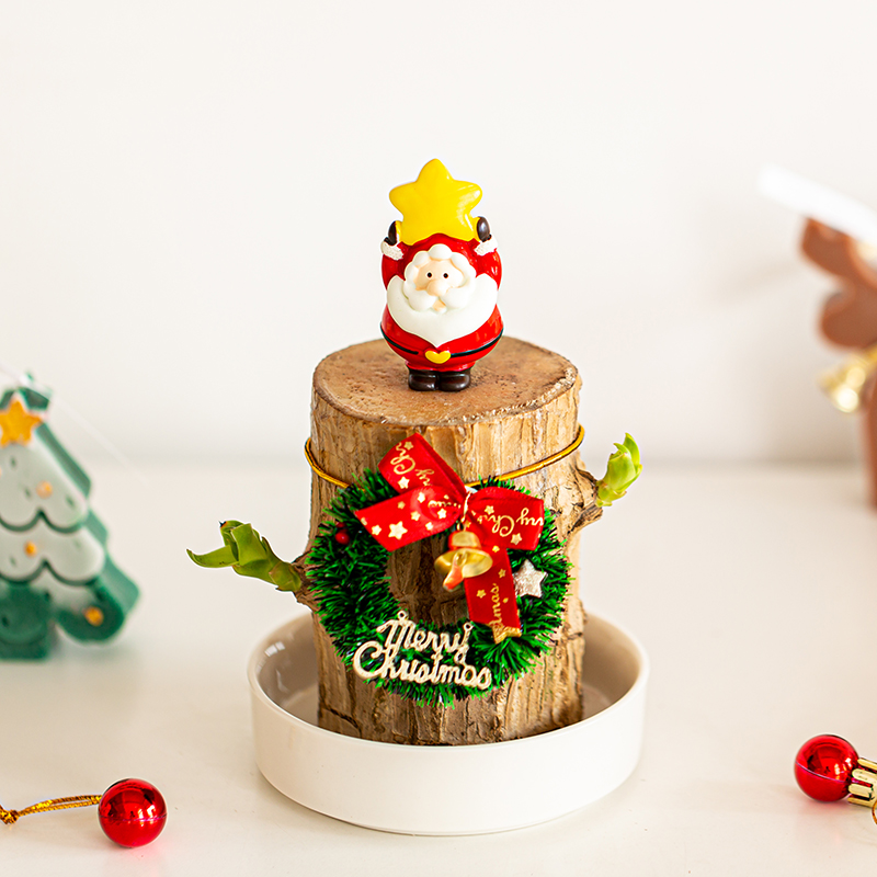 圣诞版ins水培幸运木巴西木带芽开花花卉绿植植物室内办公室盆栽