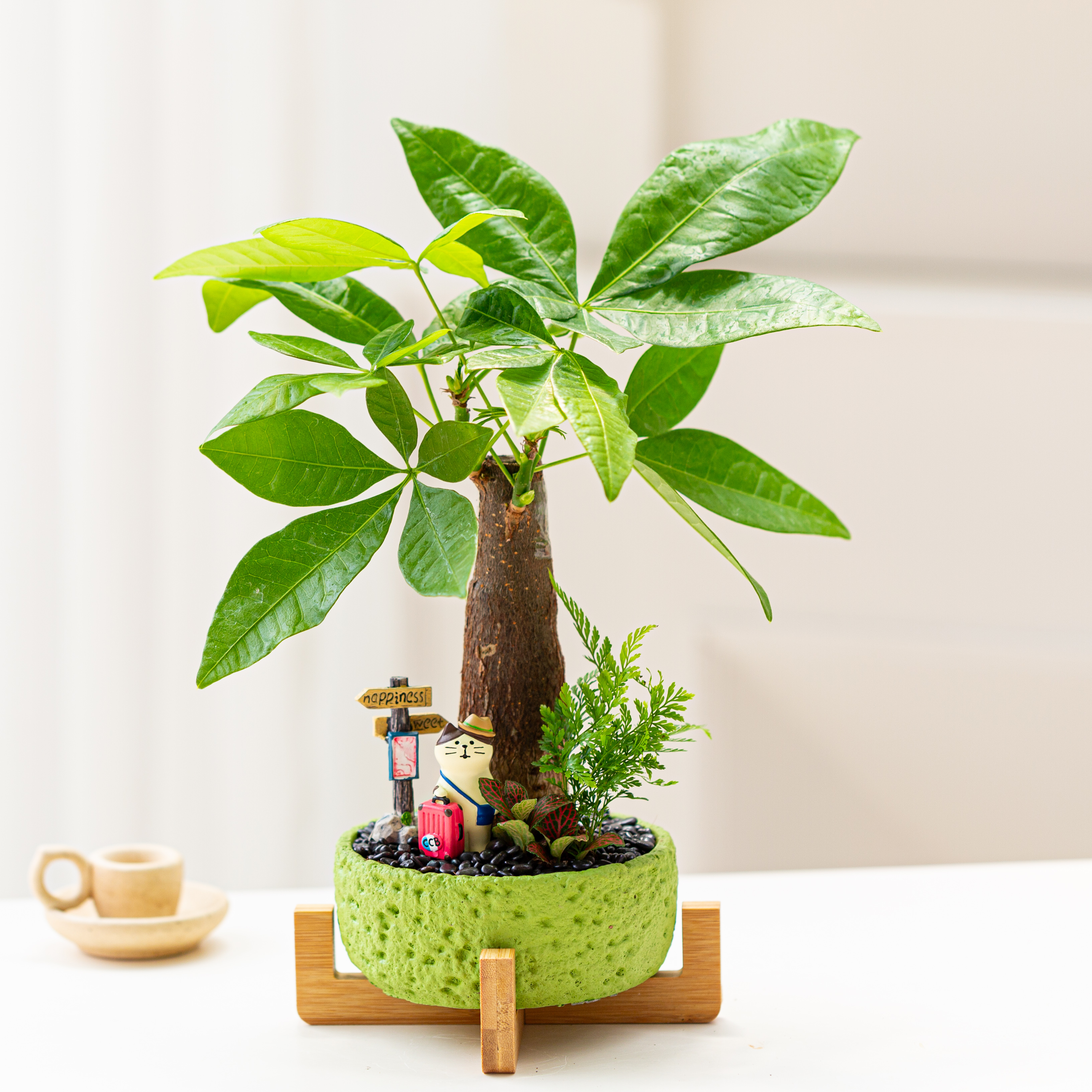发财树盆栽花卉办公室招财绿植室内桌面好养盆景旺宅植物礼物送礼