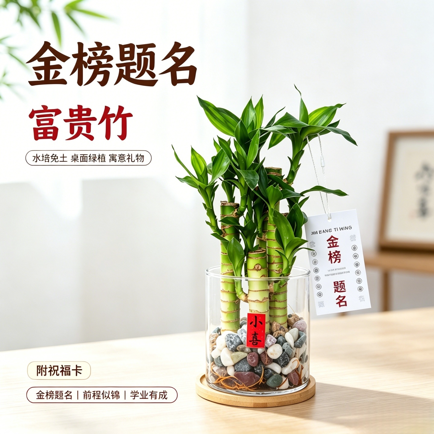 文昌竹4支金榜题名水培绿植室内书桌办公室桌面富贵竹盆栽好养活