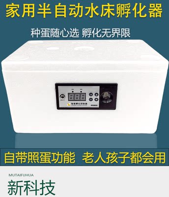 水床孵化器小型家用孵化箱