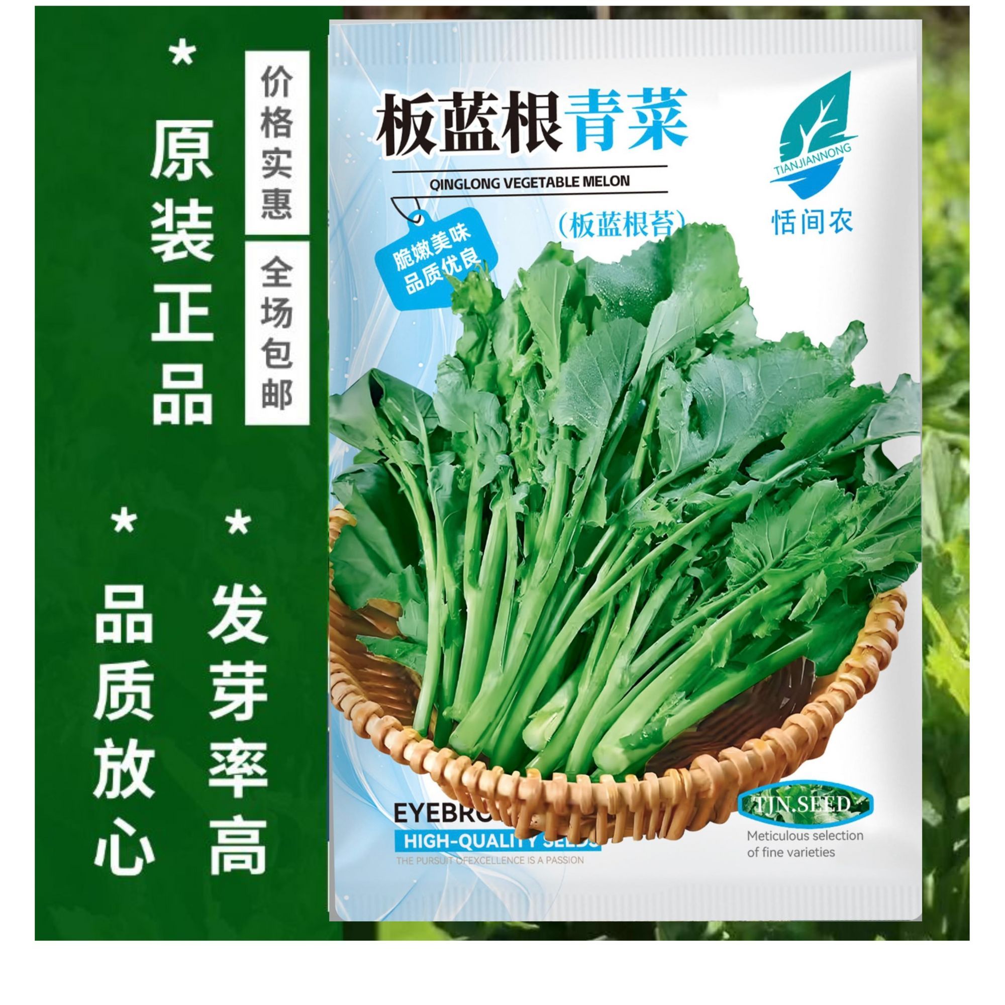 正宗板蓝根青菜种子清润易活好种家庭园艺种子