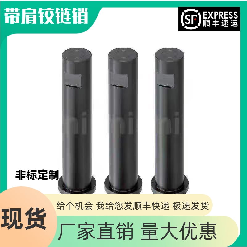 带肩铰链销轴MIP21MIR01