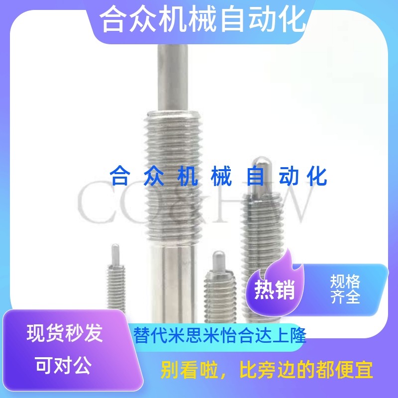 ZAP01-M10/M12/M16-H5/H10/H15/H20 不锈钢定位柱 弹簧柱塞 ZAP02