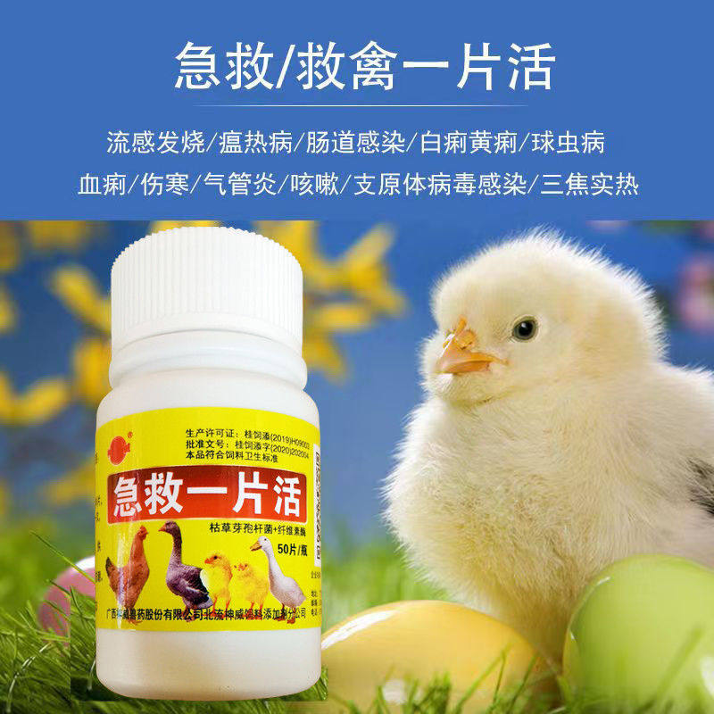 兽用鸡鸭鹅鸽子兔用急救一片活救禽一片活黄白痢垂翅鸡药大全特效使用感如何?