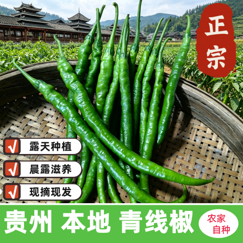 贵州老品种青线椒农家自种新鲜蔬菜青椒红辣椒青椒细长辣椒青椒