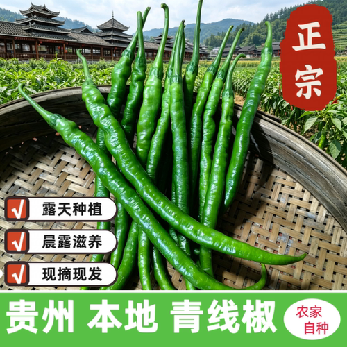 贵州老品种鸡爪辣青线椒农家新鲜蔬菜青椒红辣椒青椒细长辣椒青椒