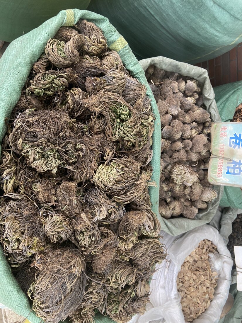 中药材 卷柏 九死还魂草 25