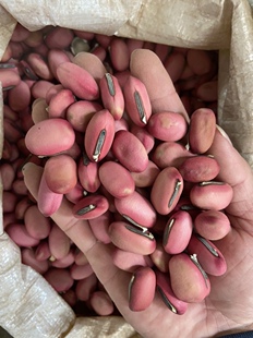 红刀豆天然特级中药材500g大刀豆籽魔豆坝豆红皮刀豆壳便秘果包邮