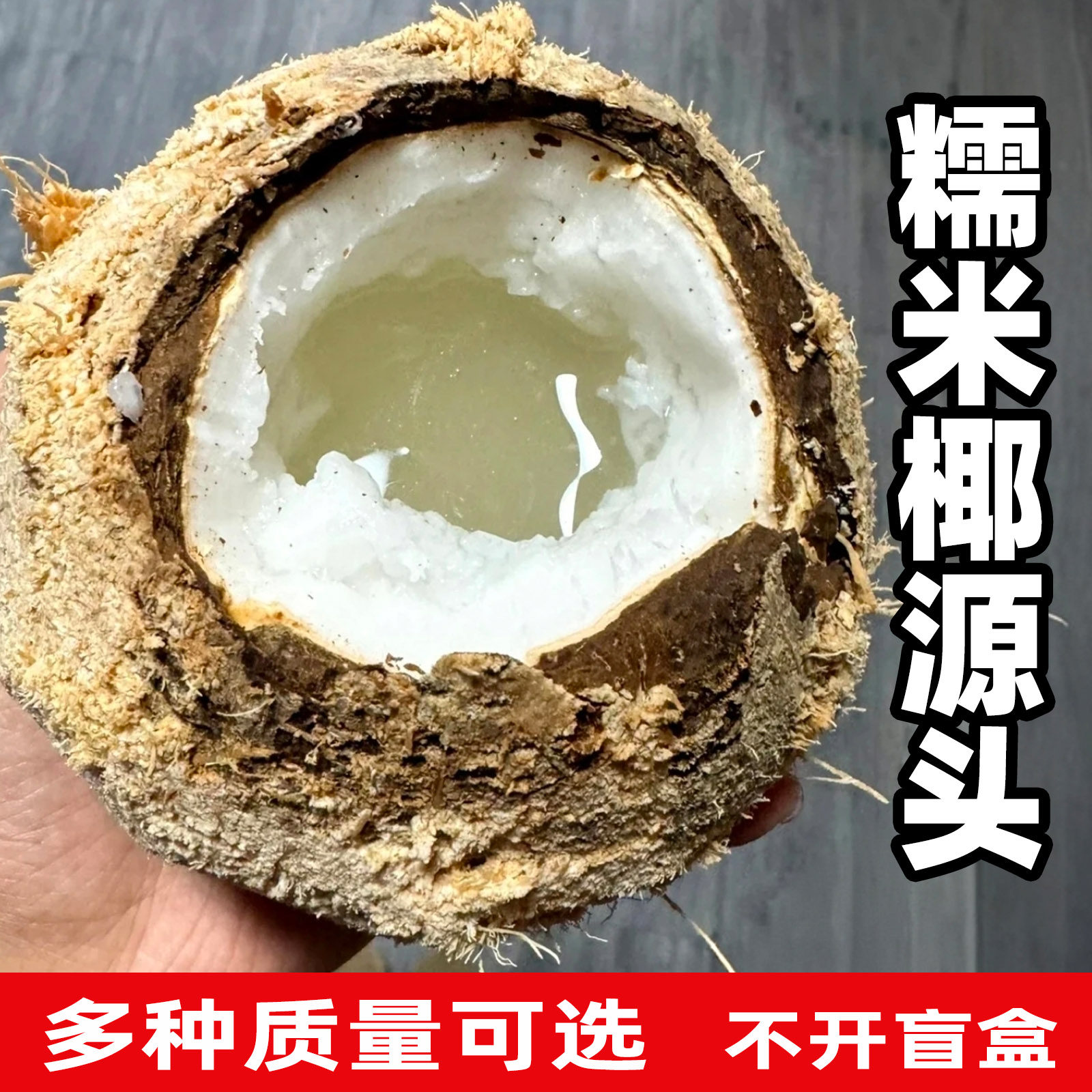 糯米椰现货批发送小料新鲜进口软当天去皮抽真空锁鲜多种质量可选