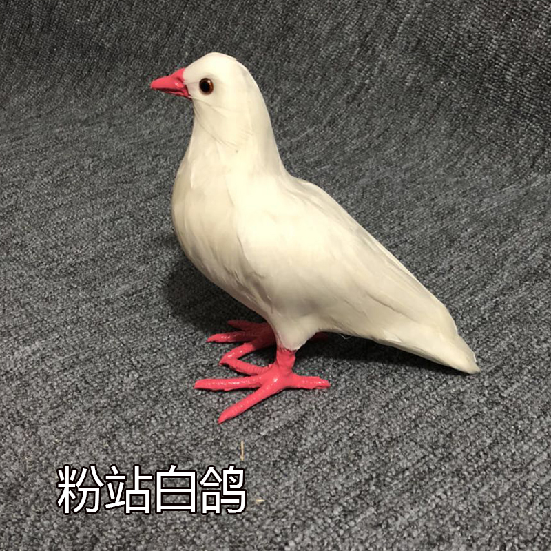 新真鸽子摆e件和平鸽羽毛鸟动物模型家居婚礼创意装饰白鸽装饰信