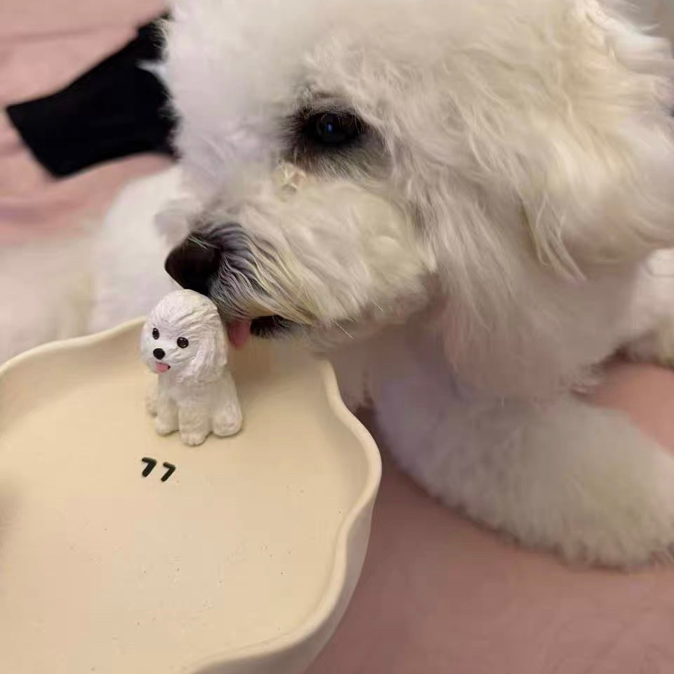 轻奢宠物周边定制手工陶瓷萌宠猫咪狗狗盘子首饰盘收纳盘生日礼物
