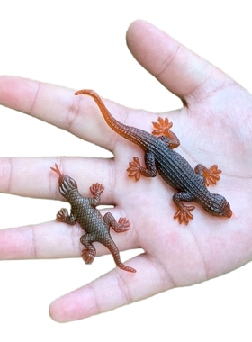 仿真壁虎辟祸蜥蜴超小迷你幼儿园儿童玩具可爱整蛊假昆虫动物模型