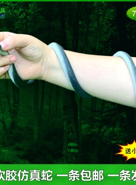 软胶蛇仿真蛇眼镜蛇小白蛇传青蛇幼儿园儿童玩具假蛇吓人动物模型