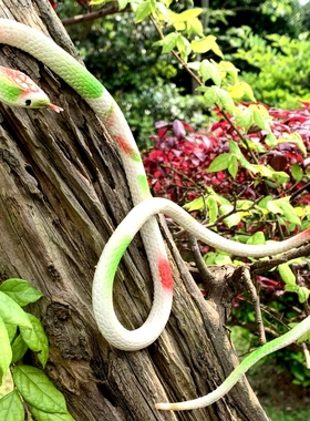 软胶仿真小白蛇儿童玩具眼镜蛇整蛊整蛊塑胶假蛇可爱爬行动物模型