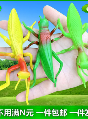 软胶仿真螳螂蚂蚱蜢蝗虫儿童过家家认知公开课玩具假昆虫动物模型