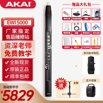 DzMaster官方进口soloC电吹管EWI5000初学者雅佳电萨克斯单双簧管